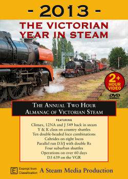 Cover of 2013 Vic Year In Steam