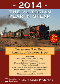 Cover of 2014 Vic Year In Steam